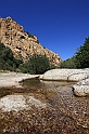 Monte Arcosu WWF (40D_4995_11rid)